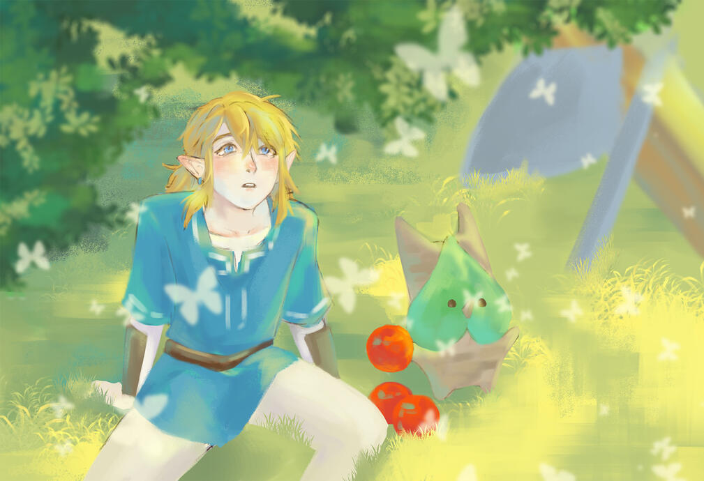 Link &amp; Korok - December 2023